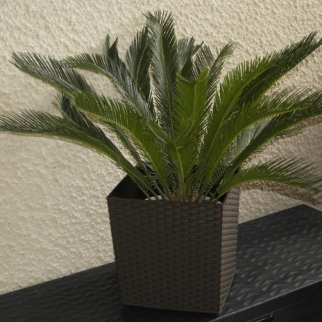 Lamela Pot Juka - Vaso In Rattan Bianco 25x25x26 Cm - Design Creativo - 2