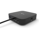 i-Tec C31DUALDPDOCKPD100W