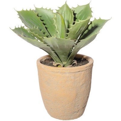 Umelá rastlina sukulent echeveria zelená 25 cm v terakotovom kvetináči 14,5x14,5 cm so zeminou