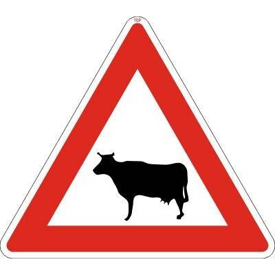 Dopravní Značka A13 Zvířata