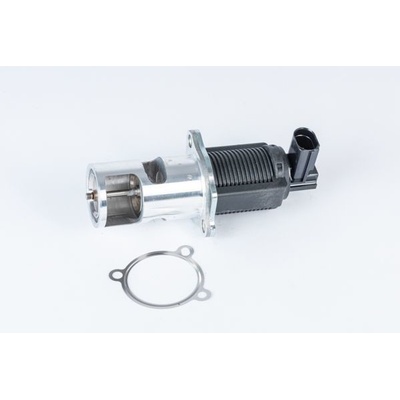 AGR - Ventil BorgWarner (Wahler) 710723D