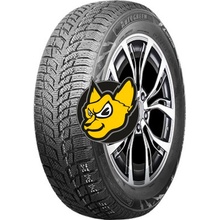 Autogreen Snow Chaser 2 AW08 205/55 R16 91H