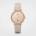 Cluse CL63006