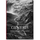 fo-Salgado-Genesis –