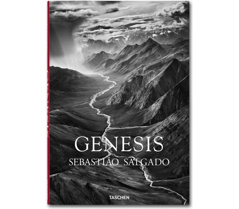 fo-Salgado-Genesis –