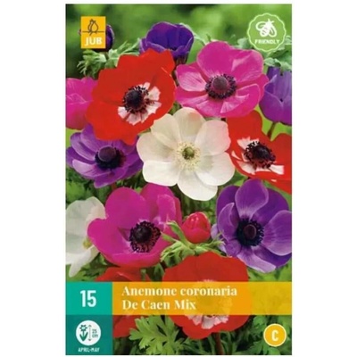 JUB Holland Sasanka Anemone Coronaria de Caen Mix 15 cibulí