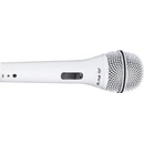 Peavey PVi 2W