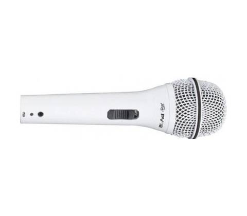Peavey PVi 2W
