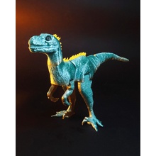 NovaPrint Raptor