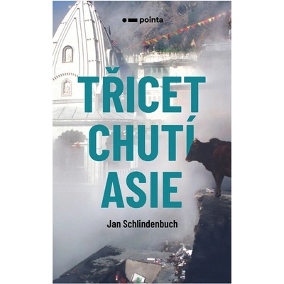 Třicet chutí Asie - Jan Schlindenbuch