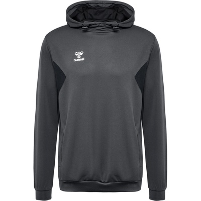 Hummel HMLAUTHENTIC PL Hoodie 219976-1525