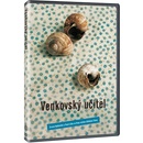 Venkovský učitel DVD