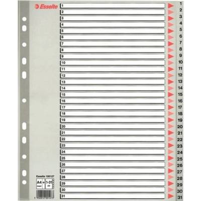 Farebné registre, šedá, A4 Maxi, plast, 1-31, ESSELTE