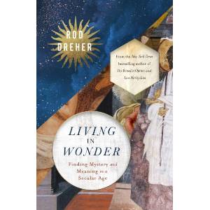 Living in Wonder (ISBN: 9781399807876)