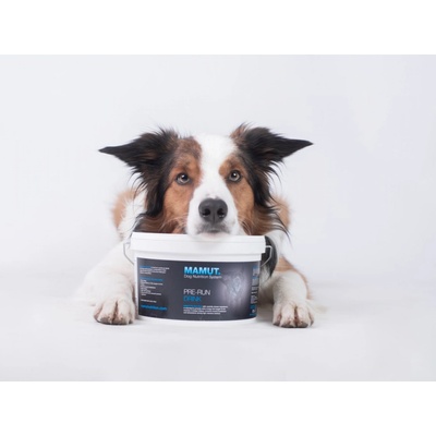 Mamut Pre-Run Drink 800 g