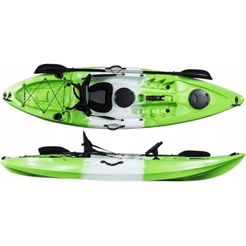 Conger 295