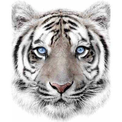 JERRY FABRICS Deka mikroflanel digitálna tlač White tyger