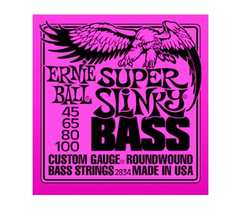 Ernie Ball 2834