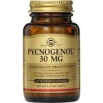 Solgar Хранителна добавка антиоксидант с Пикногенол , Solgar Pycnogenol 30mg 60 Veg. Caps Antioxidant