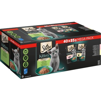 Sheba Kitten losos a kuracie 40 × 85 g