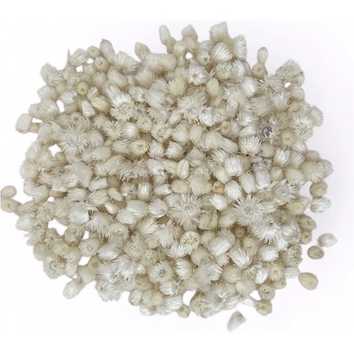 Sušené slamienky - hlavičky Helichrysum Vestitum 100g - biele