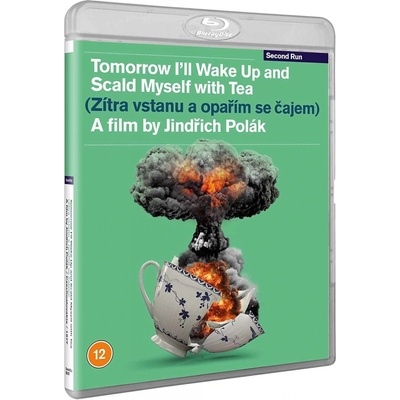 Tomorrow Ill Wake Up And Scald Myself With Tea BD