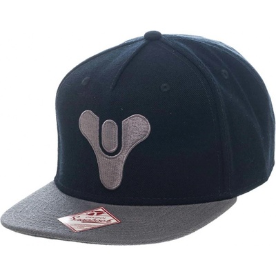 Destiny Snapback with Logo