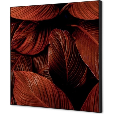 Jansen Display Textilní dekorace na zeď 40 x 40 Listy rostlin Červená, 400 x 400 mm