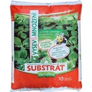 Forestina STANDARD substrát pre výsev a množenie 10 l