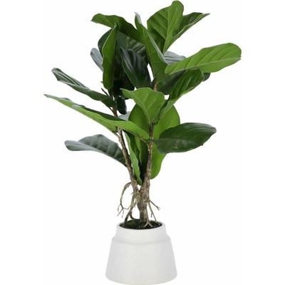 Umelý fikus (výška 60 cm) Lyrata – Kave Home