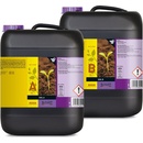 ATAMI B´cuzz Soil A+B 10L