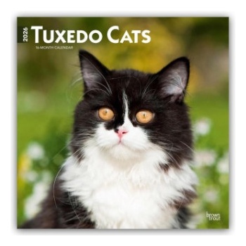 Browntrout Verlags GmbH Tuxedo Cats - Tuxedo Katzen 2026 - 16-Monatskalender