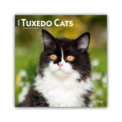 Browntrout Verlags GmbH Tuxedo Cats - Tuxedo Katzen 2026 - 16-Monatskalender | BrownTrout Publishers Inc