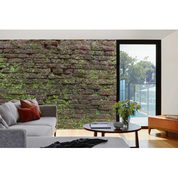 DIMEX ART s. r. o Самозалепваща се флизелинова фототапета винтидж текстура с мъх 375 x 250 см