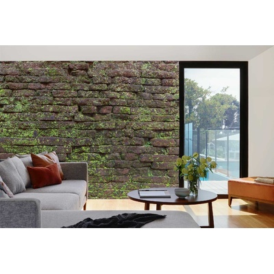 DIMEX ART Самозалепваща се флизелинова фототапета винтидж текстура с мъх 375 x 250 см