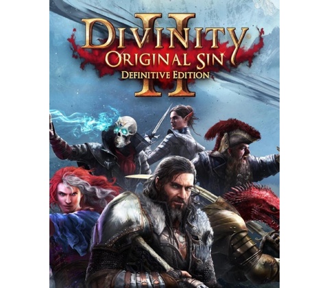 Divinity Original Sin 2 (Definitive Edition)