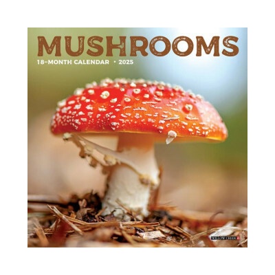 Mushrooms 7 X 7 Mini Wall 2026