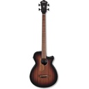 Ibanez AEGB24E