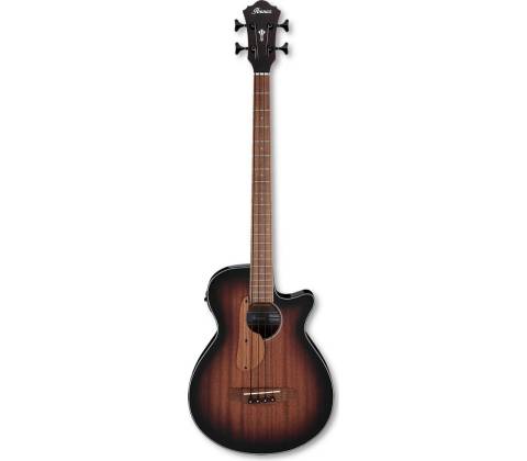 Ibanez AEGB24E