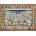 Castorland - Puzzle Map of the World, 1639 - 2 000 piese