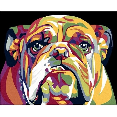 Zuty Malování podle čísel Buldog 50 x 40 cm vypnuté plátno na rám