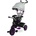 Toyz Триколка С Родителски Контрол Buzz Purple Caretero Toyz