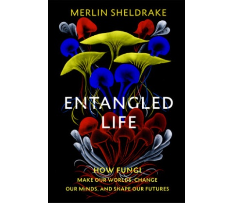 Entangled Life