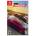 Funbox Media Super Street Racer (Switch)