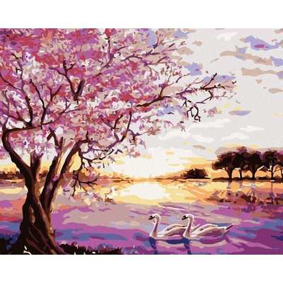 Zuty Malování podle čísel Labutě 50 x 40 cm vypnuté plátno na rám