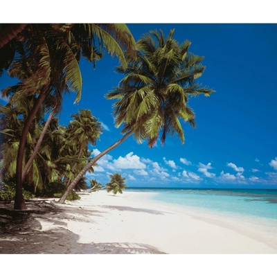 Komar Vliesová fototapeta Maldives rozměry 300 x 250 cm
