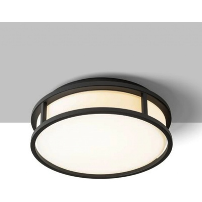 RENDL R13677