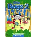 Little Bugs 2 Flashcards