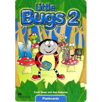 Little Bugs 2 Flashcards