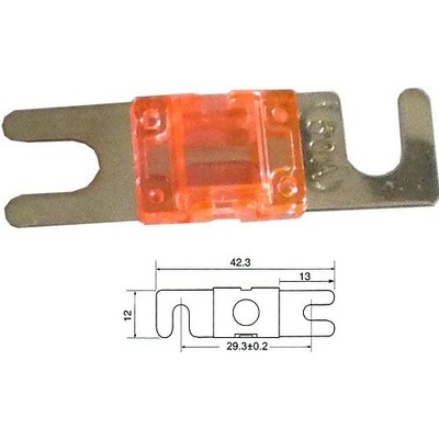Autopoistka ANL Mini 50A